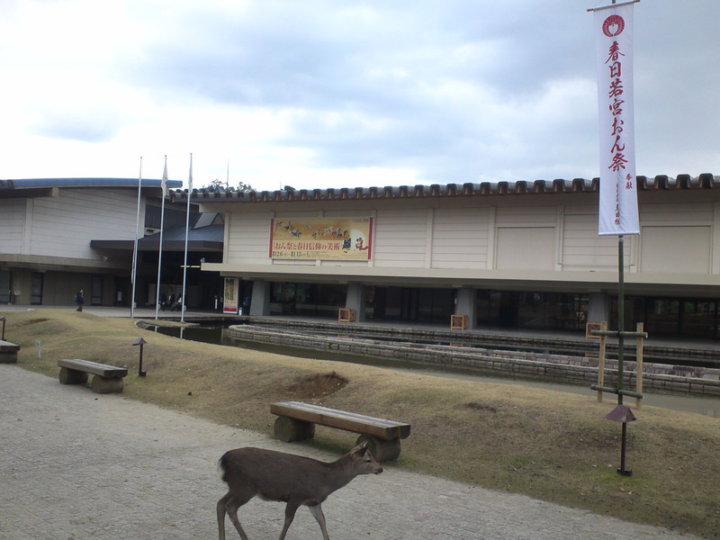 春日若宮