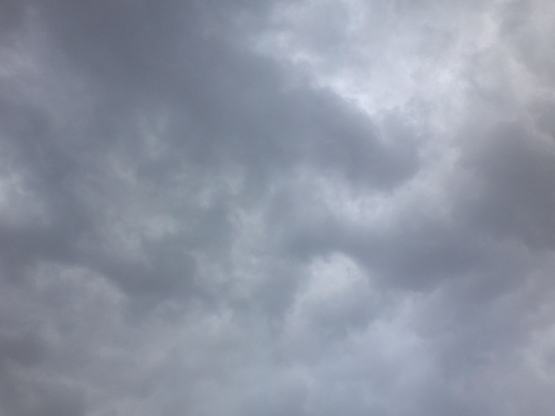 冬の空
