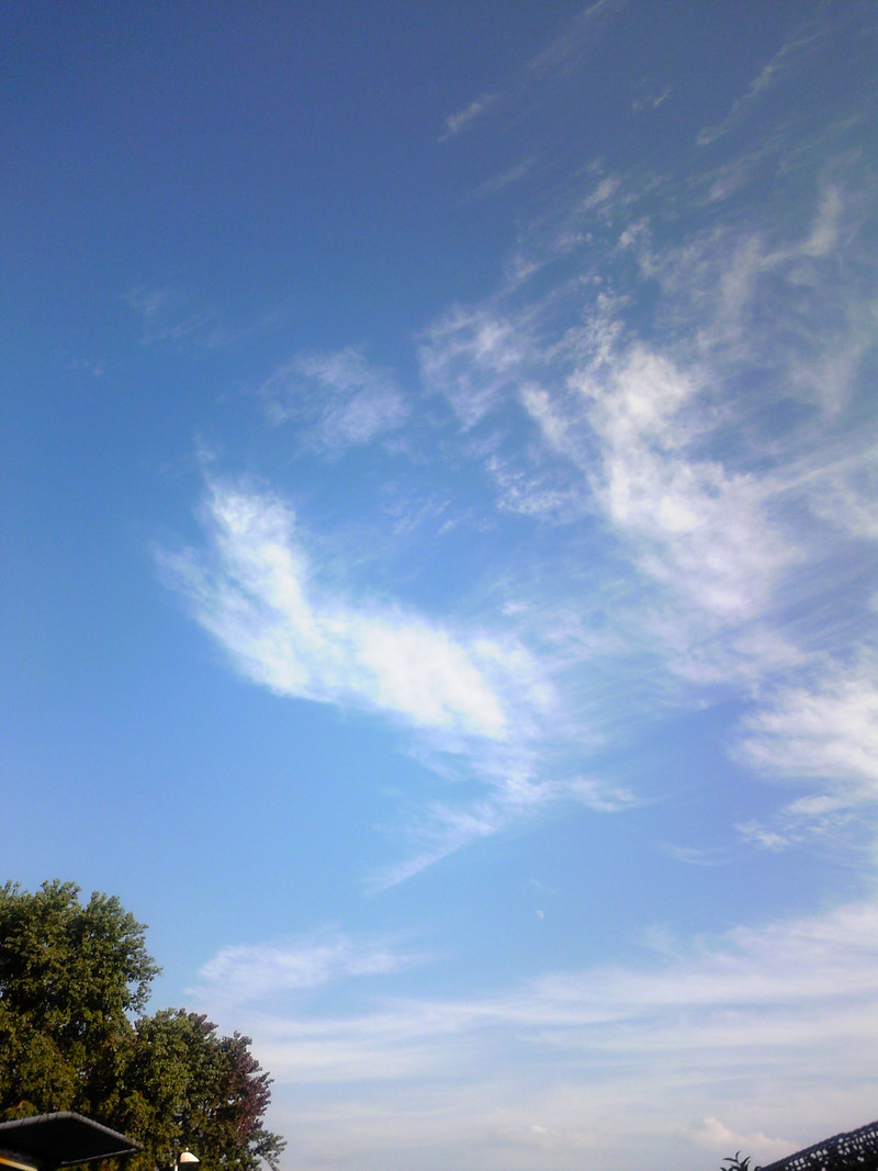 夏日の秋空